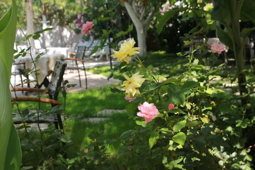 ***  Hotel Vanilla Fethiye Turkey